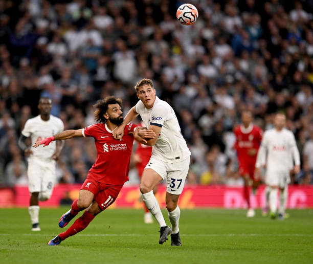 力和樊振东 力和樊振东